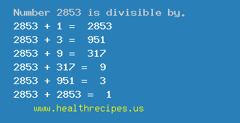 Number 2853 is divisible by the following numbers
