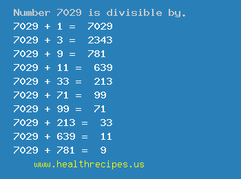 Number 7029 is divisible by the following numbers