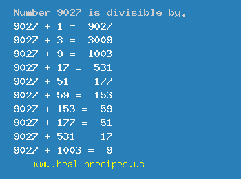 Number 9027 is divisible by the following numbers