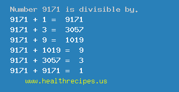 Number 9171 is divisible by the following numbers